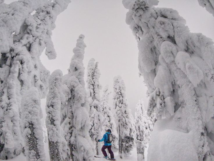 13925892_10154342434206501_7273140898188464556_o